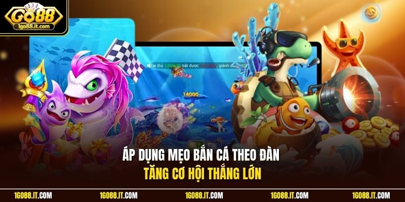Áp dụng mẹo bắn cá theo đàn tăng cơ hội thắng lớn