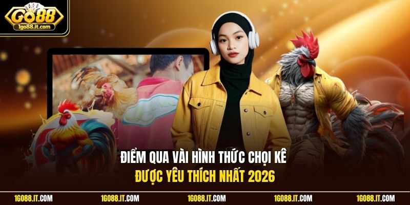 Điểm qua vài hình thức chọi kê được yêu thích nhất 2026