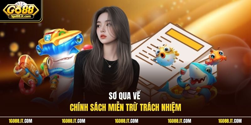 Sơ qua về chính sách miễn trừ trách nhiệm