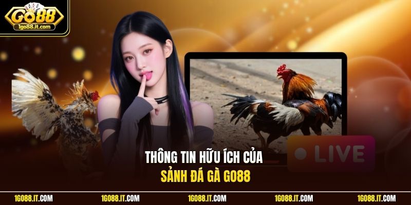 Thông tin hữu ích của sảnh đá gà Go88