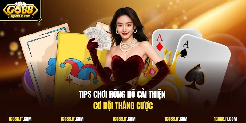Tips chơi rồng hổ cải thiện cơ hội thắng cược