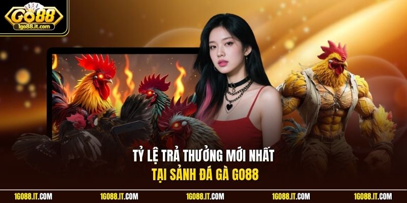 Tỷ lệ trả thưởng mới nhất tại sảnh đá gà Go88